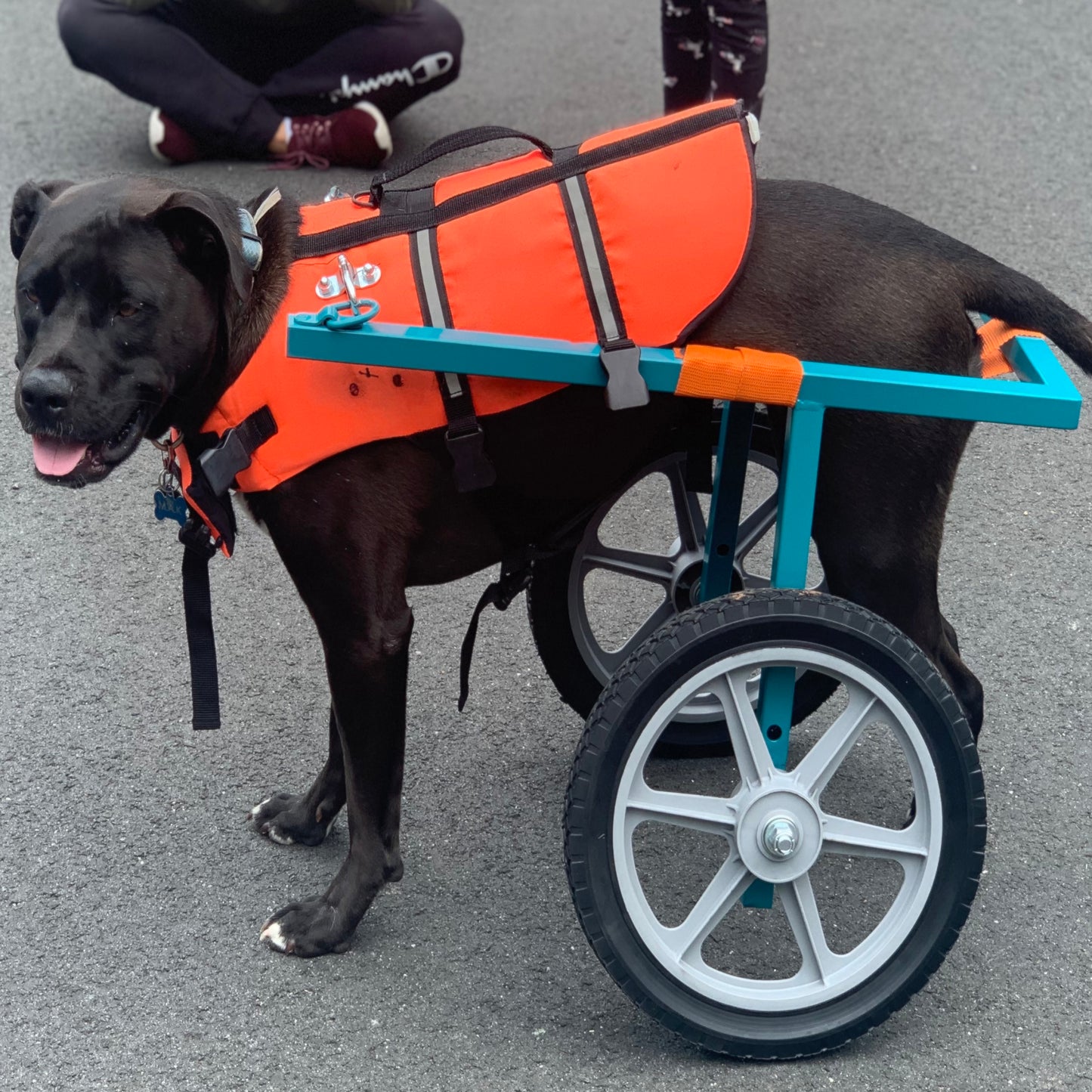 2 Pack Trailer Tire, 6PR,4.80-12,12" Rims 5 Lug White Spoke Wheel, Load Range C,Rubber