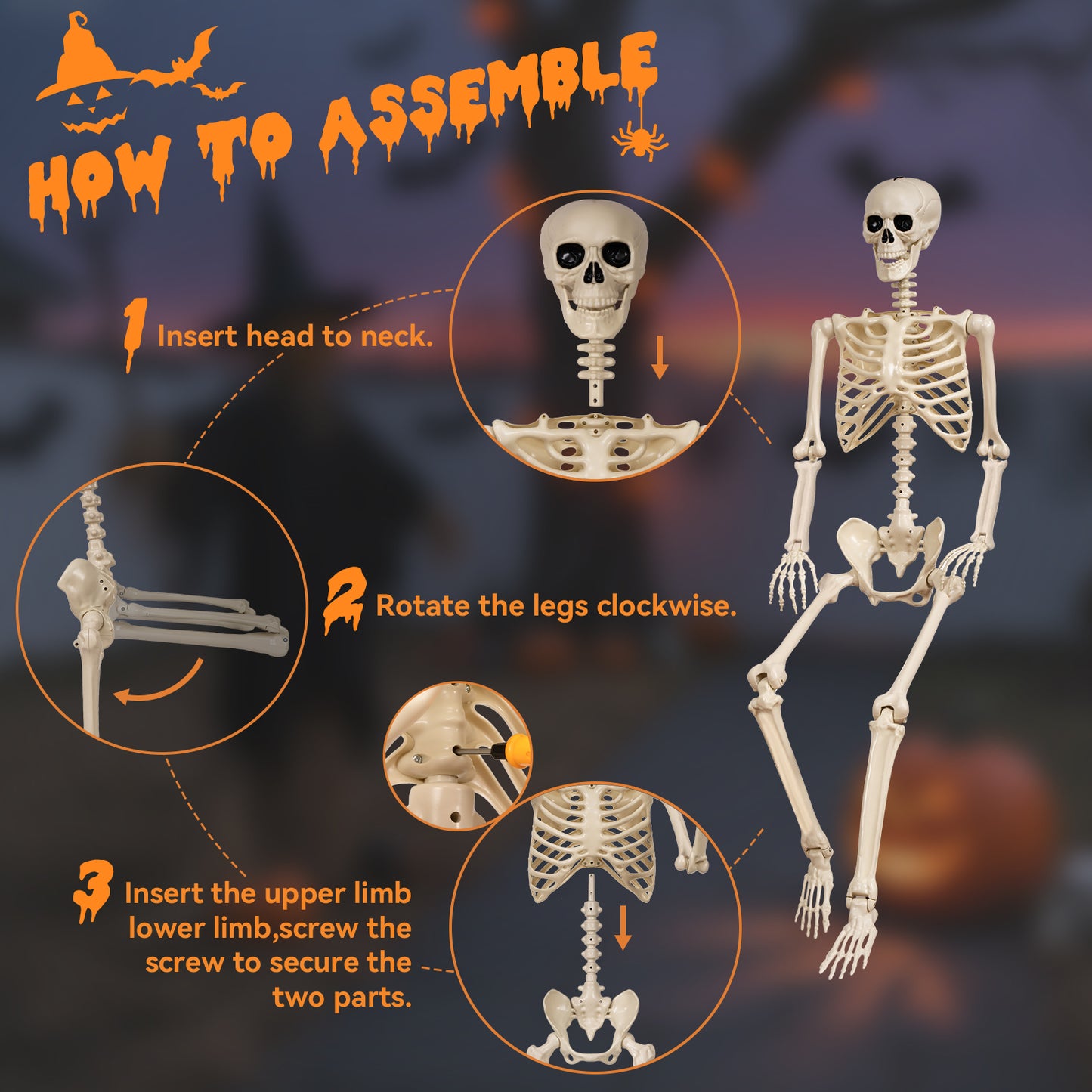(2pack)3.3 ft Halloween skeleton decoration, with movable joints, flexible skeleton for poses, scary skeleton suitable for indoor and outdoor Halloween decorations, haunted houses, courtyards