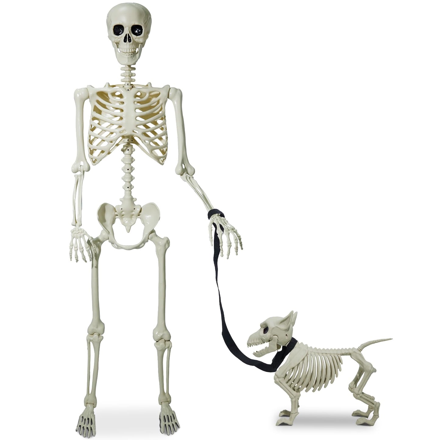 Weswose Life Size Skeleton, 5.4Ft Halloween Skeleton Full Size, Halloween Skeleton Decorations, Posable Skeleton with Movable Joints for Halloween Indoor Outdoor